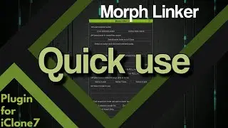Morph Linker - Quick use