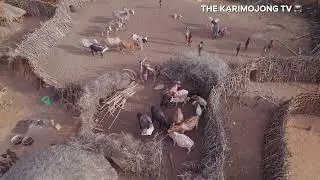 DRONE SHOT OF A TYPICAL AFRICAN VILLAGE ( Karimojong Manyatta)
