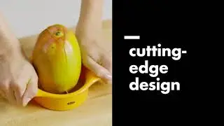 OXO Mango Splitter