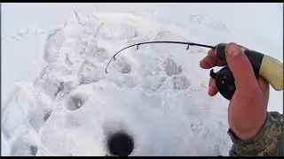 В КАЖДОЙ ЛУНКЕ ПО ОКУНЮ,А В ЭТОЙ ОДИН ЗА ОДНИМ.Рыбалка окунь на мормышку.