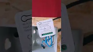 ✅️Как Подключить Умное Реле с Алиэкспресс в Распределительной Коробке за 3мин❓️🧐