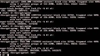 Ручная разметка диска FreeBSD
