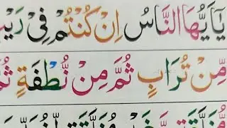 Live Quran Class