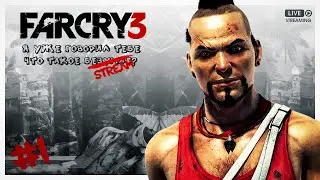 Стоит ли играть в Far Cry 3 в 2025 году? 🔴 STREAM 🔴