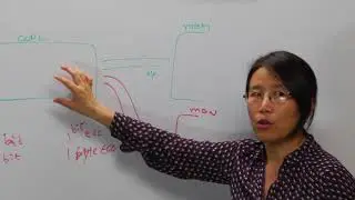 Whiteboard Wednesdays - Error Correction Code Implementations in Memory Controller Designs