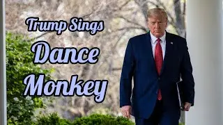 TONES AND I - DANCE MONKEY (Donald Trump Cover)