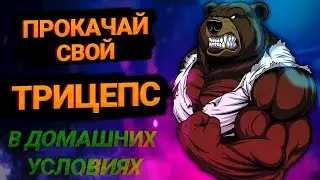 ТРЕНИРОВКА ТРИЦЕПСА ДОМА (всего 3 упражнения и ты будешь как Эдуардо Корреа)
