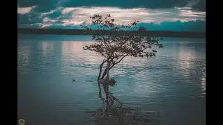 Uma viagem na foto -  Amazônia - Fine Art
