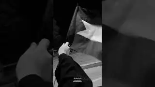 Palestine is free #fyps #shorts #reels #freepalestine