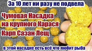 Ни разу не подвела! Насадка на Карася Карпа Сазана Леща  Рыболовная насадка на карася