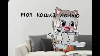| Я НИЧЕГО НЕ БОЮСЬ | {МЕМЕ}