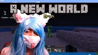 A New World (Minecraft)
