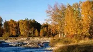 Осенняя пора