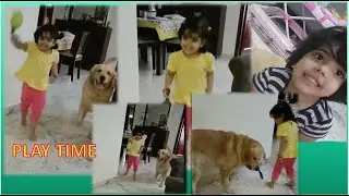 Awwwww.....Poor Doggy - Part 3
