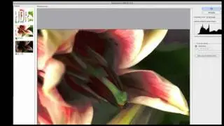 Lezioni di fotografia #5 - Fotografare la natura, la tecnica HDR