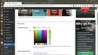 Instalando Plugin de Tela de Espera ou Manutenção de Site