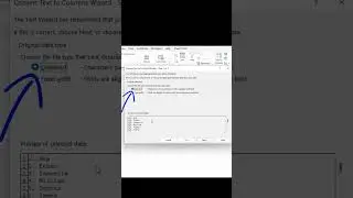 Split data in an Excel column to two columns 