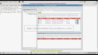 Applying Recommended Patches To Weblogic Server for OEM grid control 11g installation.avi