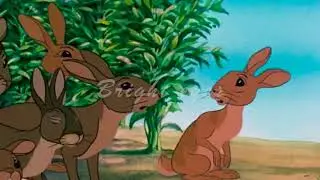 Watership Down - Bright Eyes
