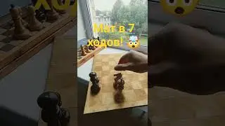 #шахматы #топ