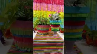 DIY Piñata Planters