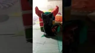Тики из пластилина