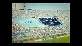 SOY CELESTE