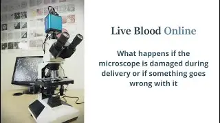 What Happens if the Microscope is Damaged? - Live Blood Analysis Training Course