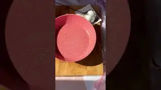 4 ингредиента 😮 ленивый хачапури #shorts