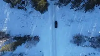 Зимний лес