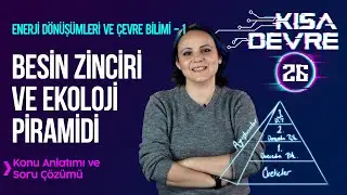 8. Sınıf Fen Bilimleri Enerji Dönüşümleri ve Çevre Bilimi 1: Besin Zinciri | Lightboard’da Ders #26