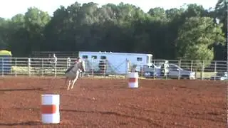 Whitney and Dolly 6-2-12 winning 2nd in 3D youth