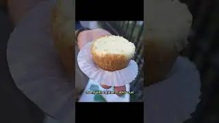 I Found NYC’s Best Cheesecake!