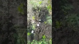 31 августа 2024 г.