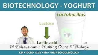 Food Production - Biotechnology - Yoghurt Production - GCSE Biology (9-1)