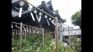 Furin-matsuri 1