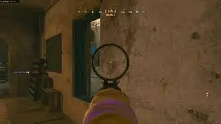 Vanguard multiplayer