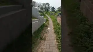 Jemput Castamer dikuburan