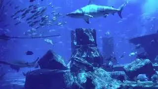 Релакс! Дубай АТЛАНТИС Океанариум 🦈🐟🐠🐡