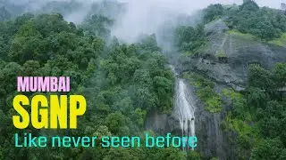 Sanjay Gandhi National Park - SGNP Mumbai