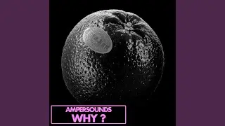 Why?