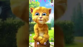 Talking Ginger 2 fart😂🌶️