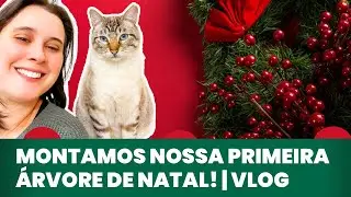 Montamos nossa primeira árvore de natal aqui no México! Vem ver como ficou!