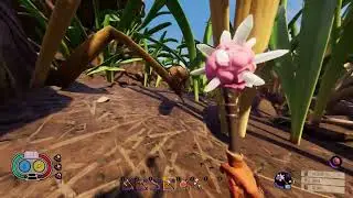 Thor's Pendant Location Grounded