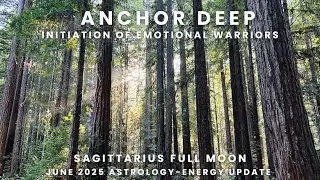 The Initiation of the Emotional Warrior and Space Holder: June 2025 Energy-Astrology Update