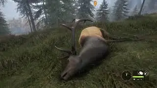 3 Elk 3 Shots!  (The Hunter Call Of The Wild)