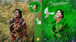 Green Dreamchaser Effect Photo Editing😲 New Flying Bird Concept Snapseed Photo Editing 😇 HCN Editing