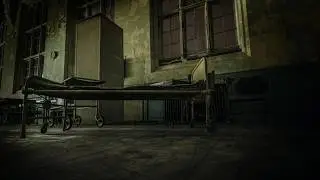 The Asylum (Creepypasta #78) (The Horror Land)