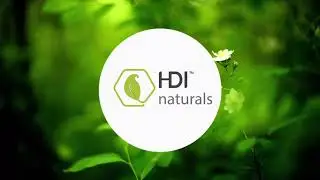 HDI Naturals Clover Honey | Madu Istimewa & Terbaik untuk Anda