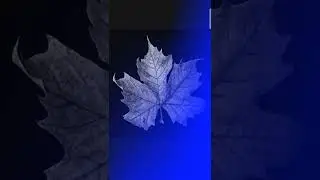 leaf blue shade editing 📸📸